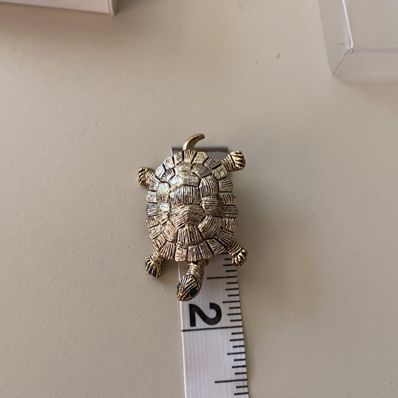 Silver turtle with green eyes. - Picture 5 of 5